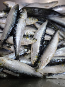 Air-dried Sardines