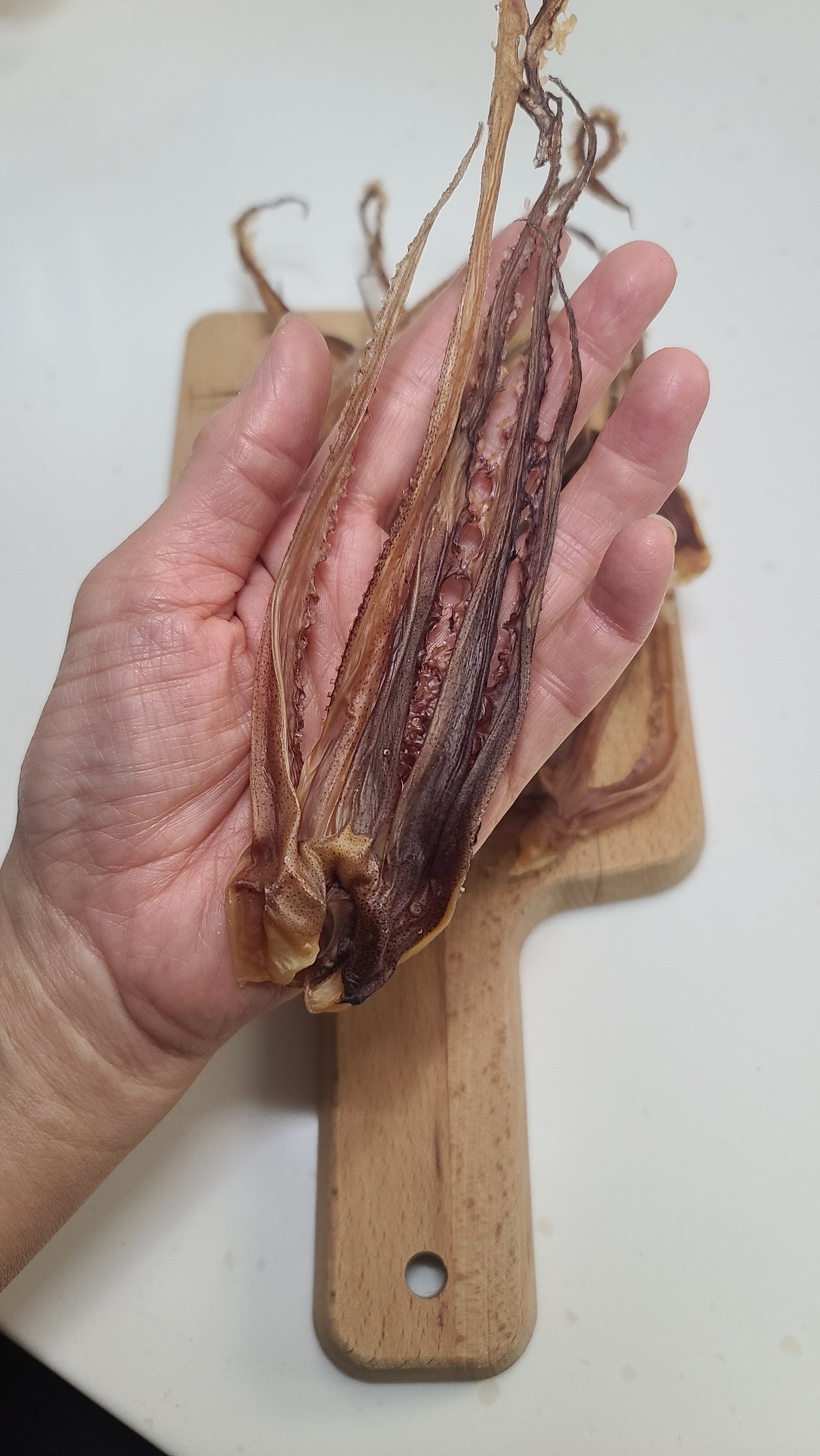 Air-dried Squid